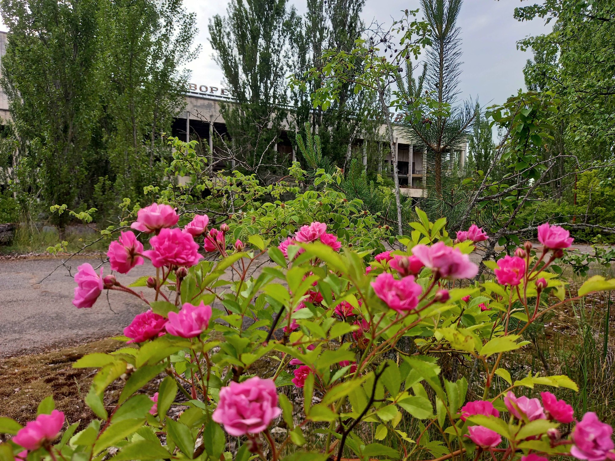 Photo credit: State Agency of Ukraine for the Management of the Exclusion Zone.