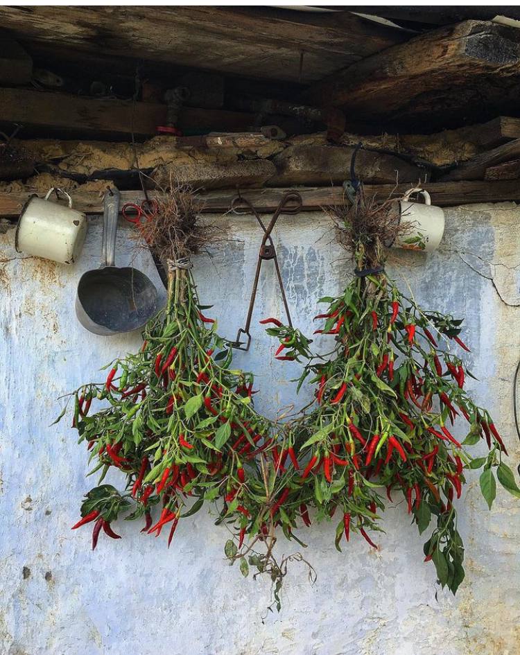 Dried peppers from Kateryna's family garden.