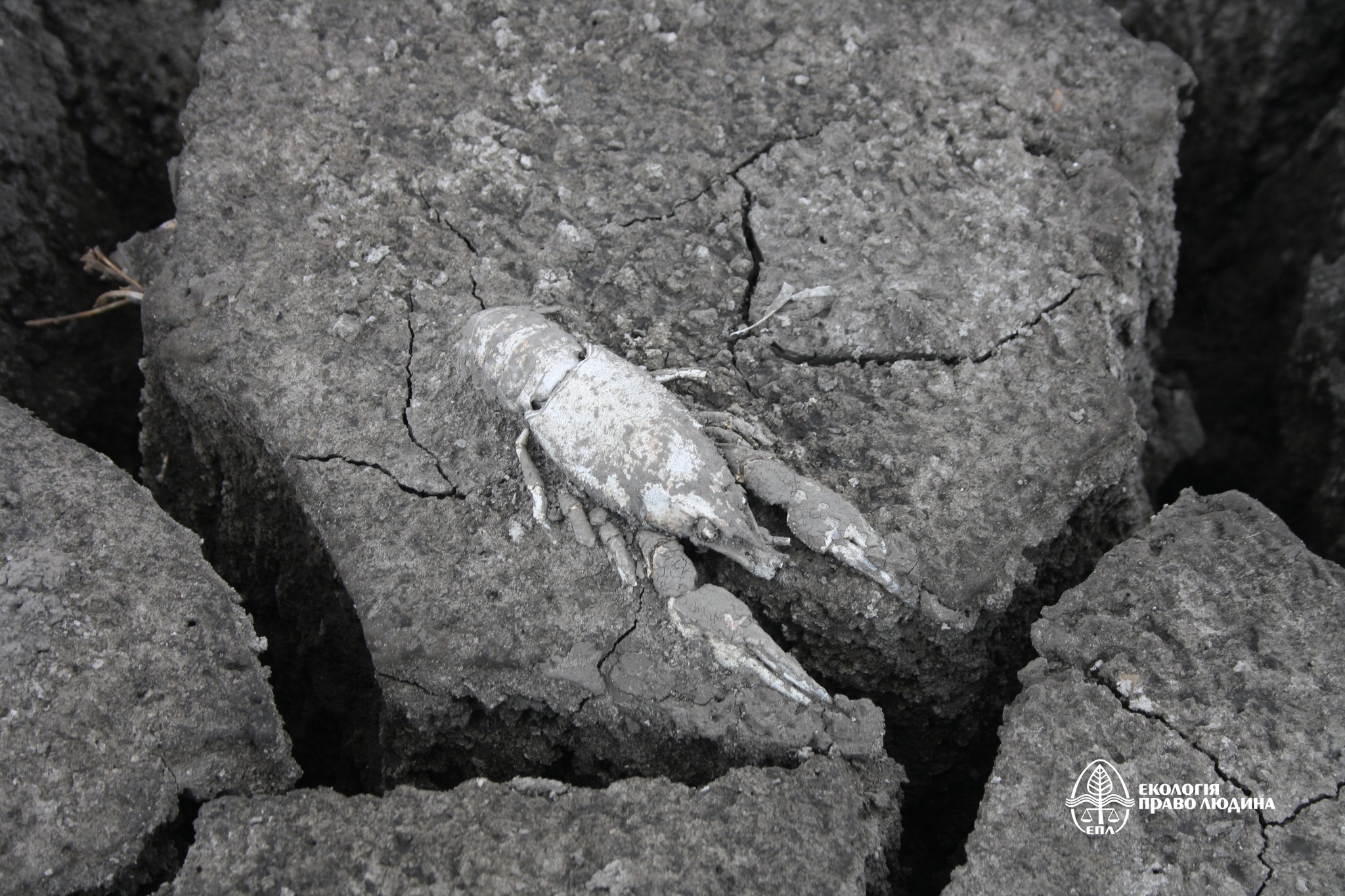 Drained lands as a result of the explosion of the Kakhovka dam, photo by EPL. 
