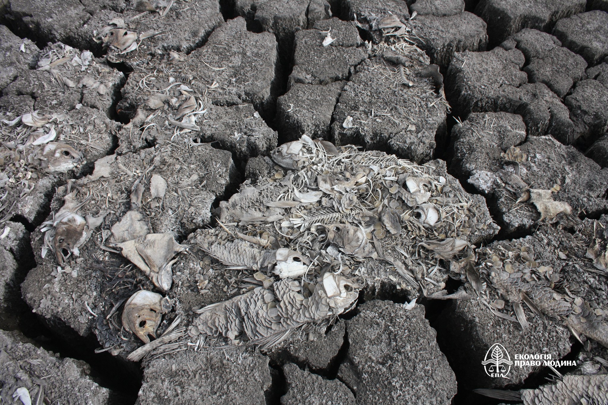 Drained lands as a result of the explosion of the Kakhovka dam, photo by EPL. 