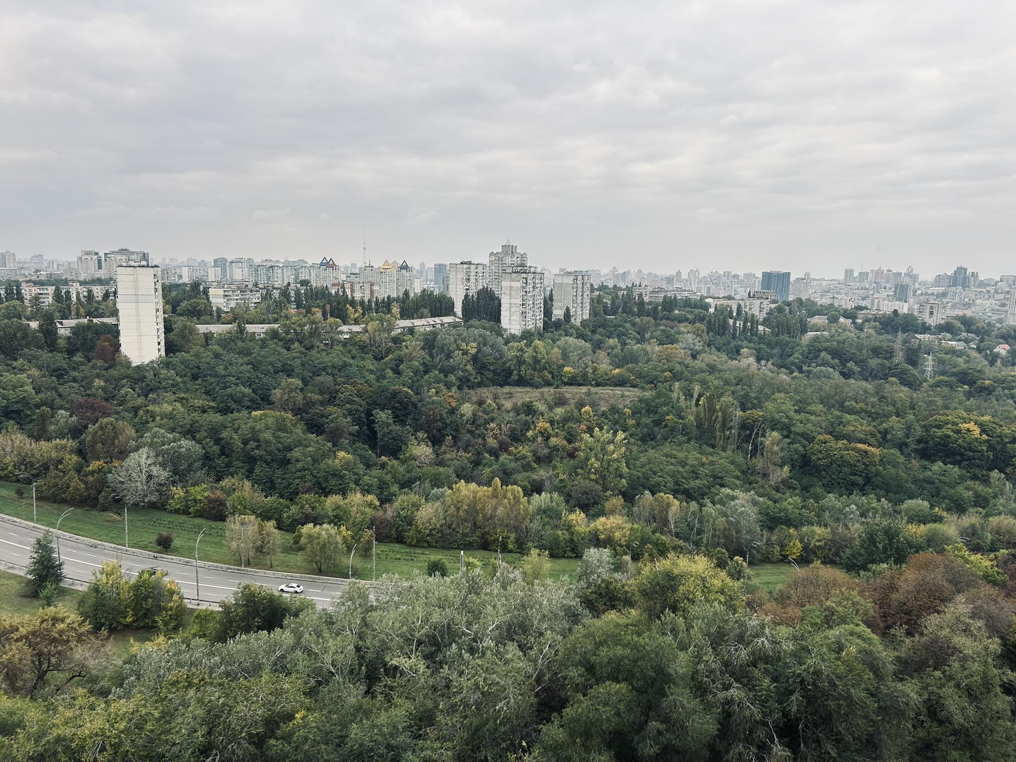Photo: Facebook/Захистимо Протасів Яр