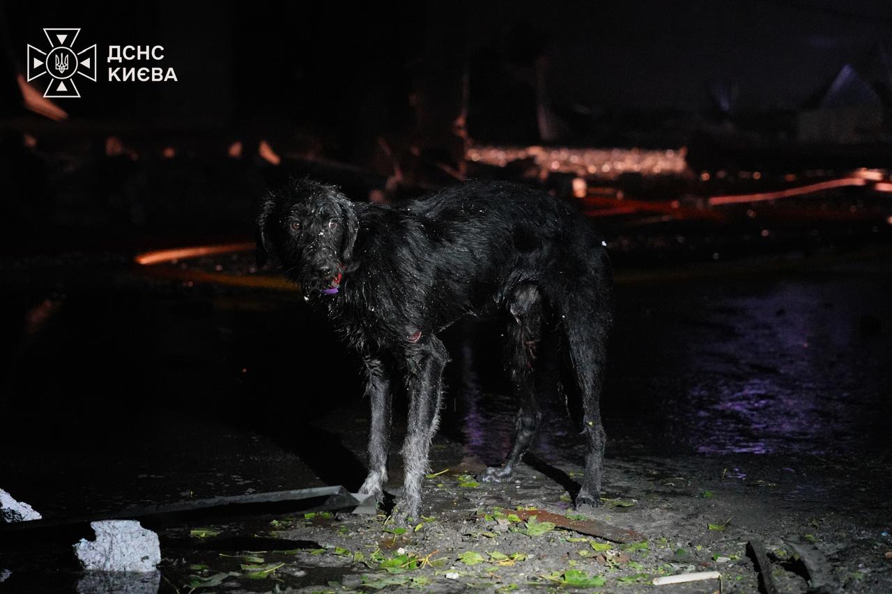 Photo credit: SES Kyiv