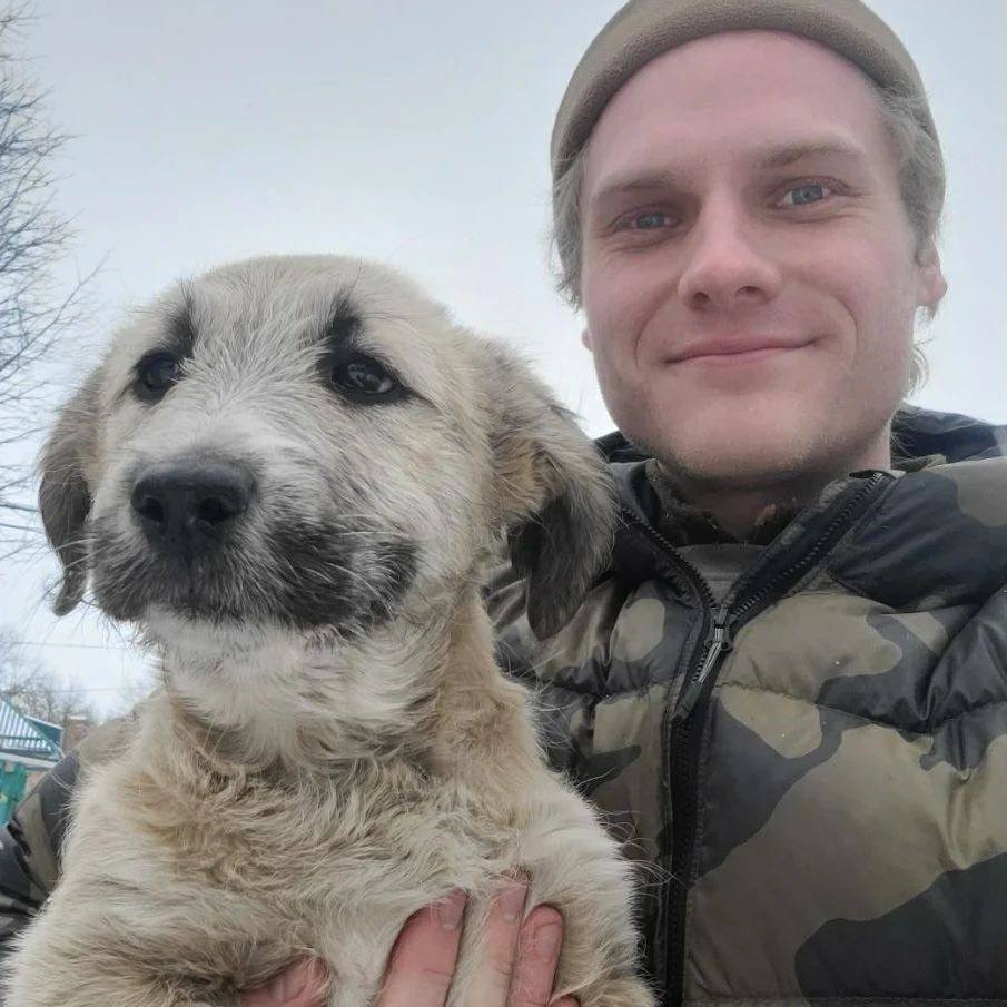 UAnimals