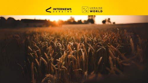 An Industry That Feeds the World: What Has 2023 Become for Ukrainian Agriculture?