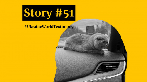 Story #51. Saving Cats from War