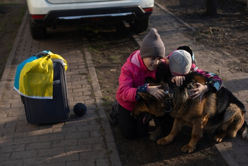 Protecting Defenseless Animals in Ukraine