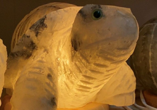 Donbas Entrepreneur Uses Salt Mines For Creative Business